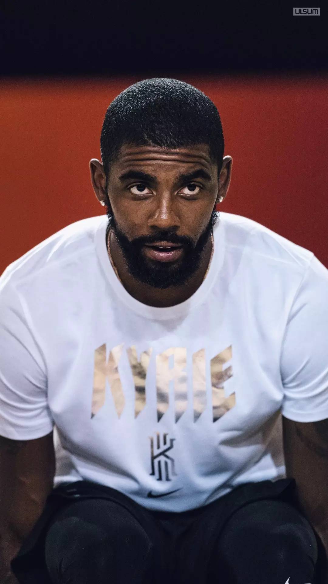 以小投入获 以小投入获